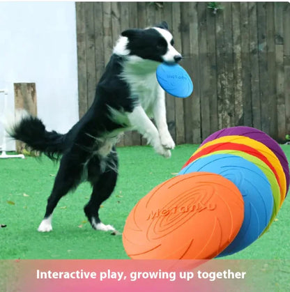 Rubber Dog Frisbee